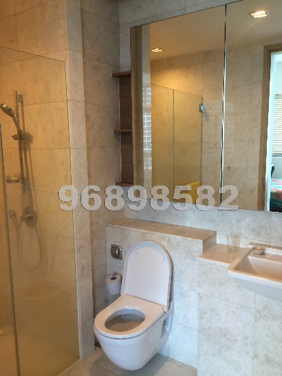 Soleil @ Sinaran (D11), Condominium #433572